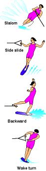 dessin