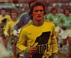 Henri Michel