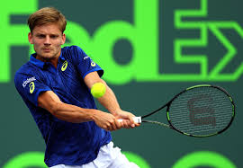 David Goffin