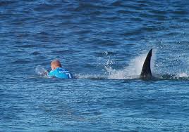 Mick Fanning